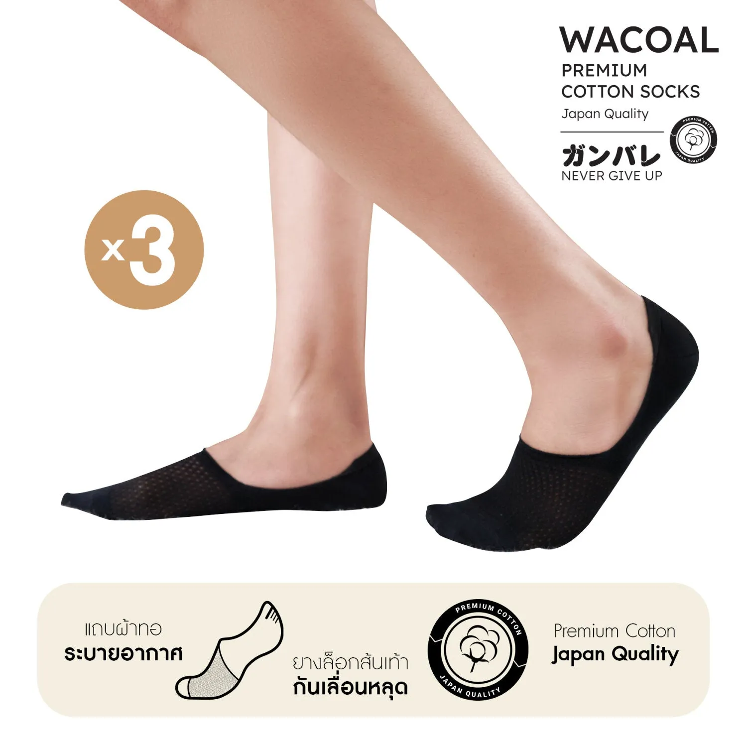 ถุงเท้าซ่อนข้อ ถุงเท้าข้อเว้า Premium Cotton Socks Selected by Wacoal Set 3 pcs รุ่น WW110400 สีดำ (BL)