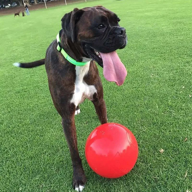 Aussie Dog Enduro Ball Large