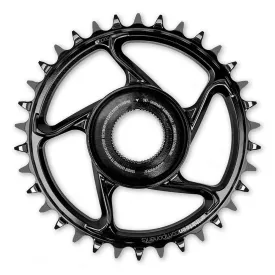 E*Thirteen E-Spec Alloy D-Mount Chainring - Bosch G4