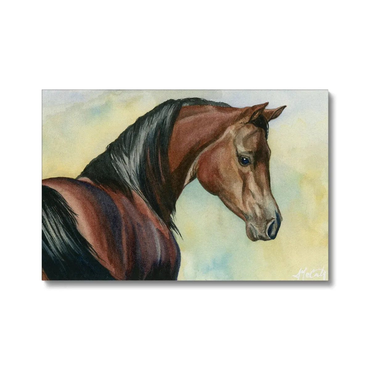 Hey Bay Canvas Print