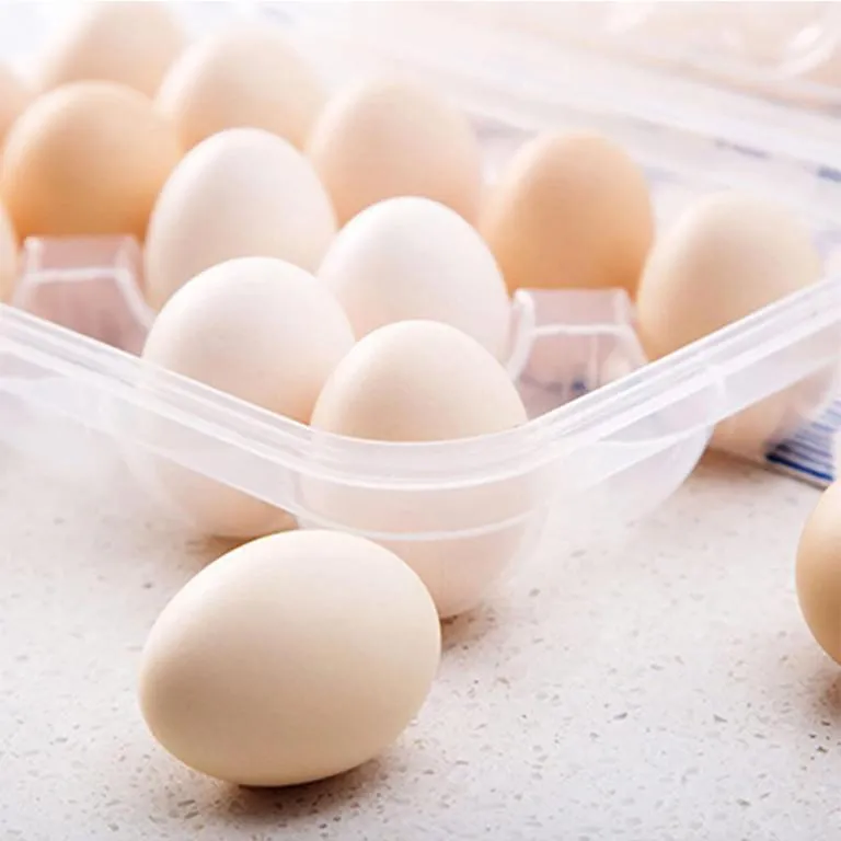 Imported Plastic Egg Storage Box 15 Egg Capacity Tray and Container