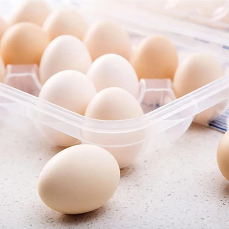 Imported Plastic Egg Storage Box 15 Egg Capacity Tray and Container