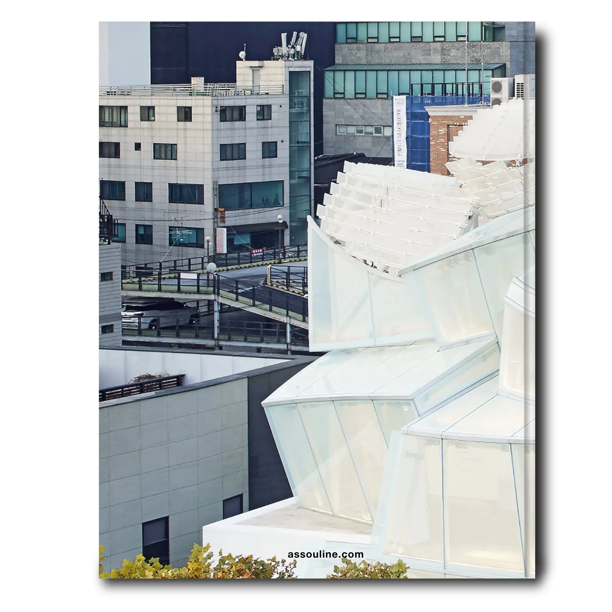 'Louis Vuitton Skin: Architecture of Luxury' Book | Seoul Edition